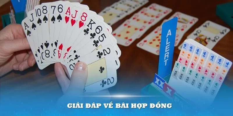 Giải đáp về bài Hợp Đồng